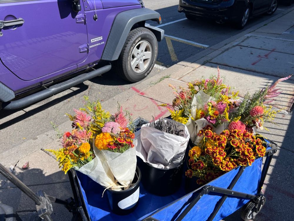 Purple Jeep parked next to a blue wagon filled with colorful flower bouquets, likely for sale on a sunny day.