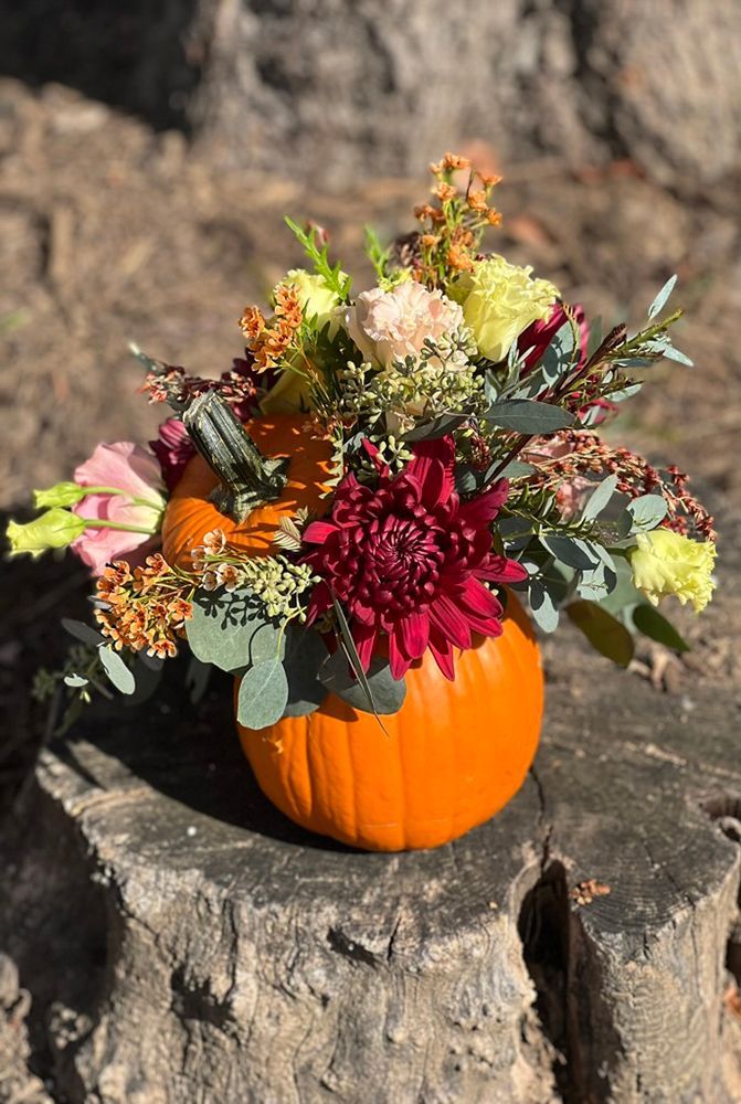A festive fall arrangement of flowers in a small orange pumpkin vase, resting on a tree stump outdoors.