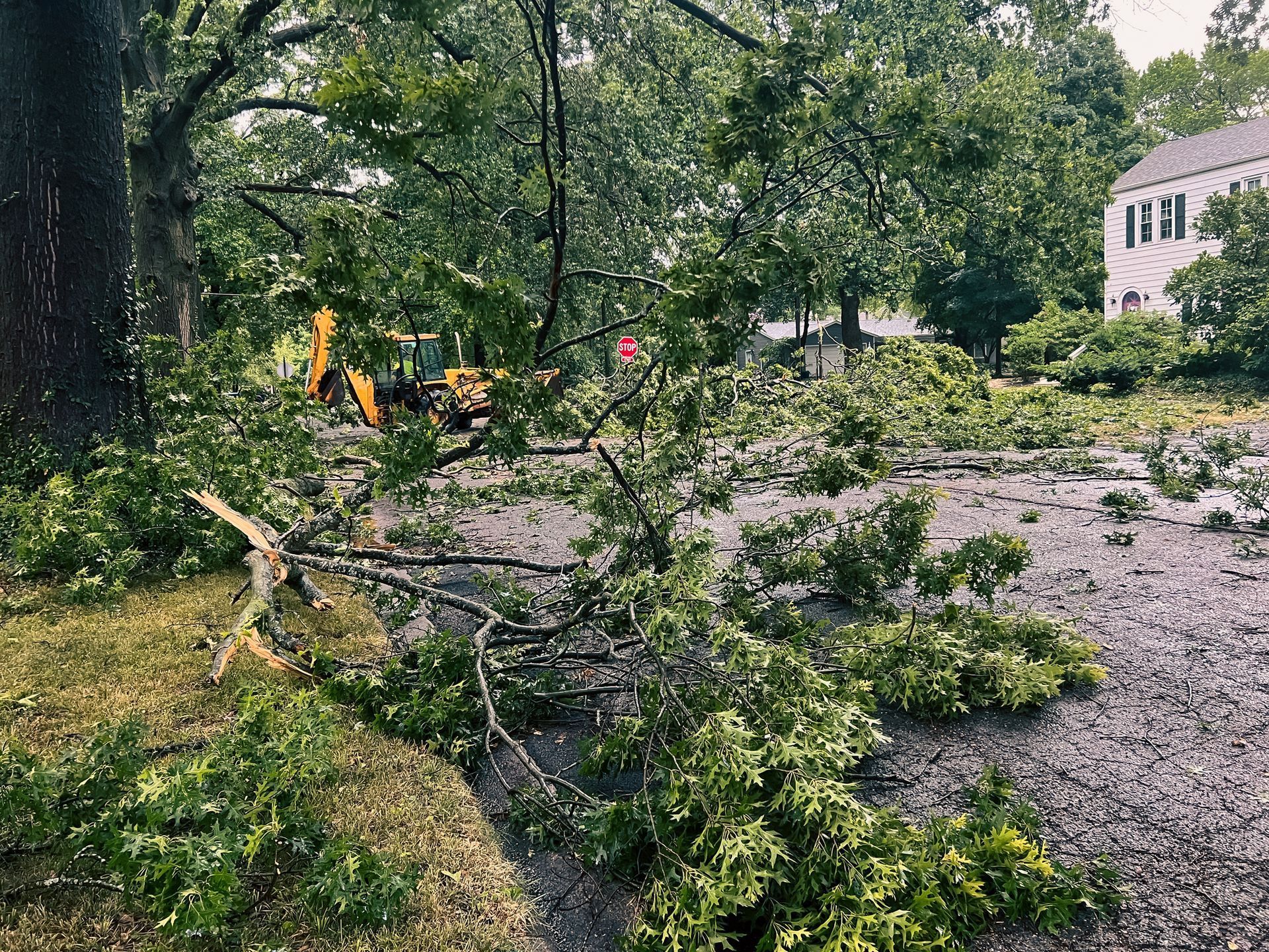 Fallen tree limbs on a road, with a yellow backhoe visible in the background. Green foliage and a house.