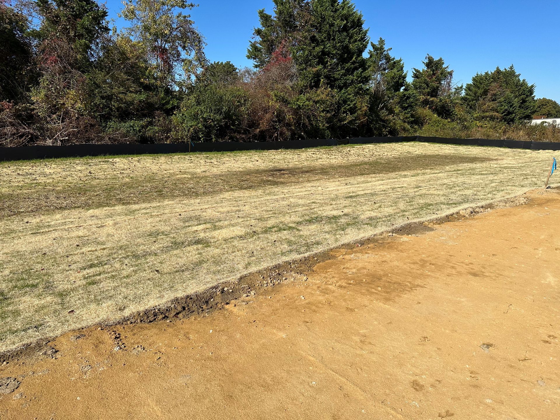 A dirt field with trees in the background on a sunny day