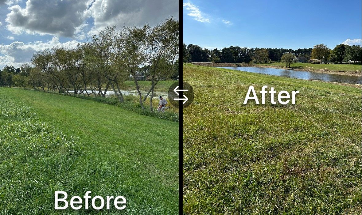 A before and after picture of a field with trees and a river