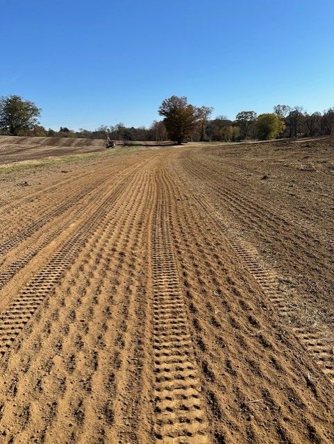 A dirt road going through a field with trees in the background