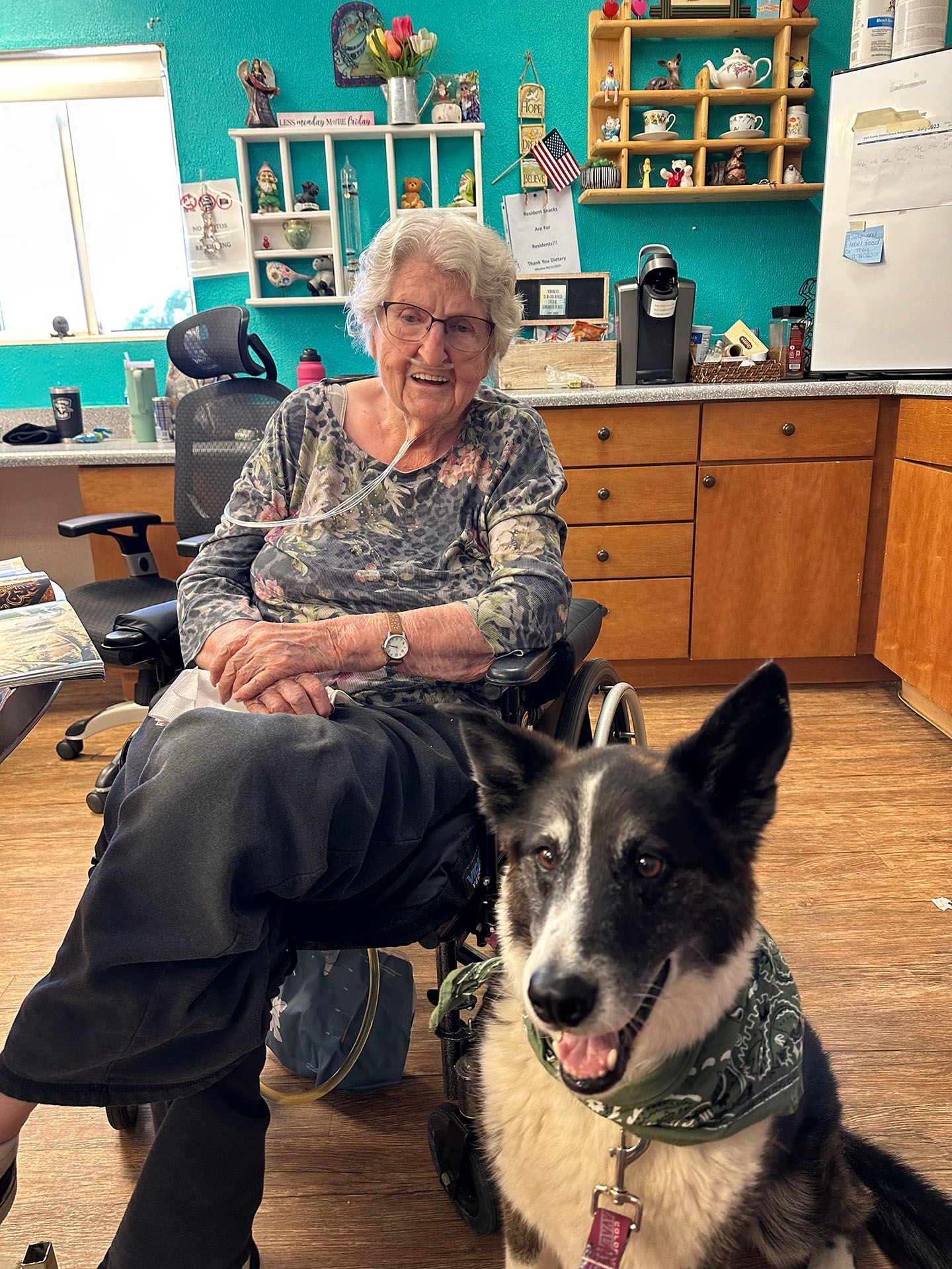 an elderly woman in a wheelchair is sitting next to a dog