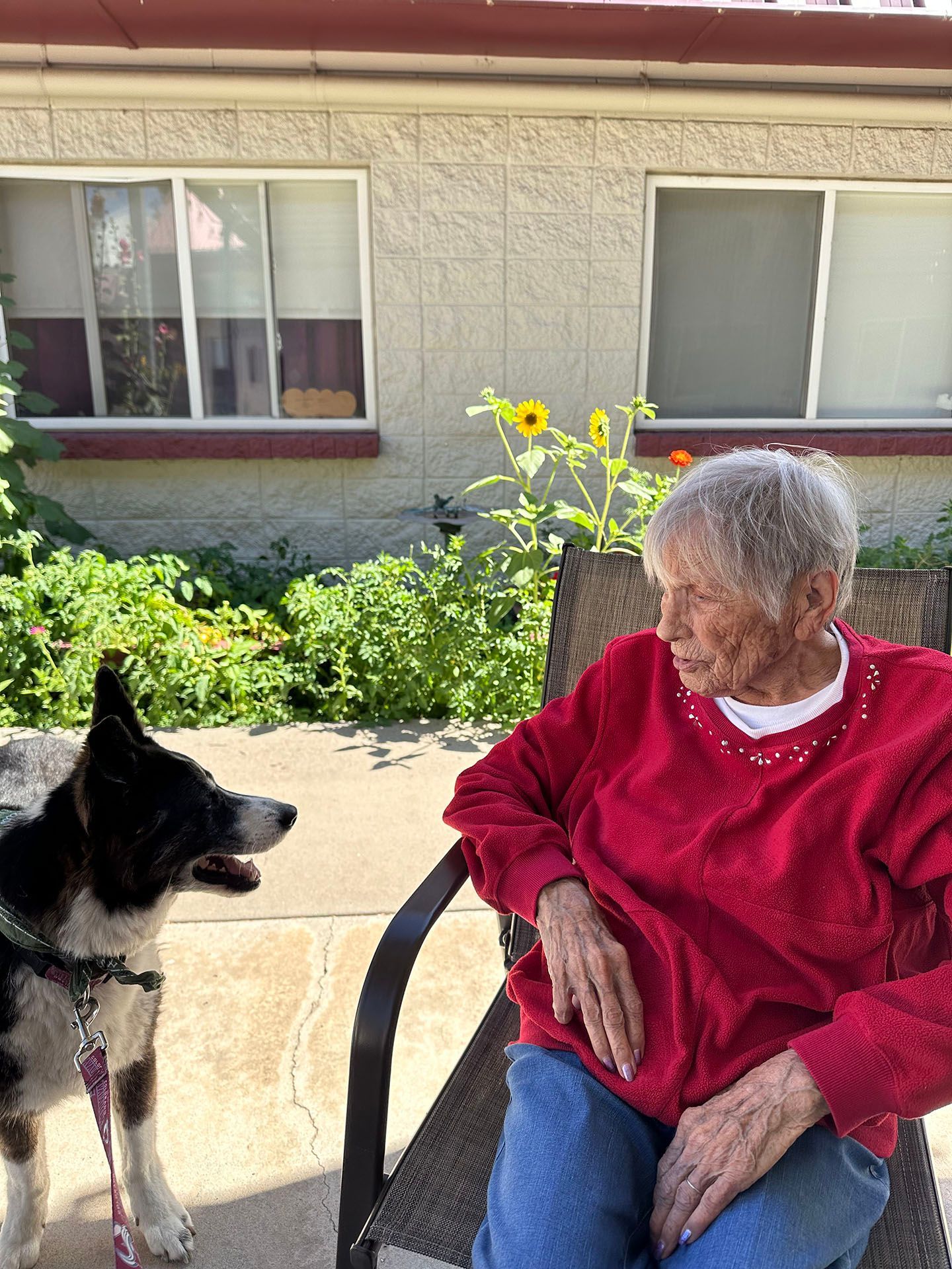 an elderly woman is sitting in a chair with a dog