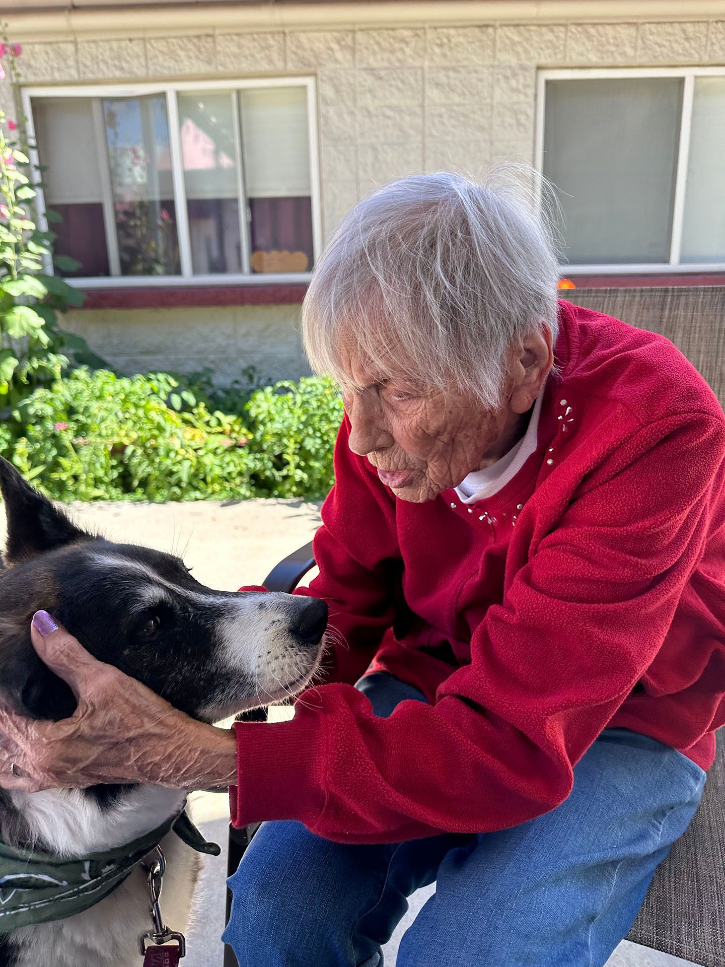 a woman in a red sweater is petting a black and white dog