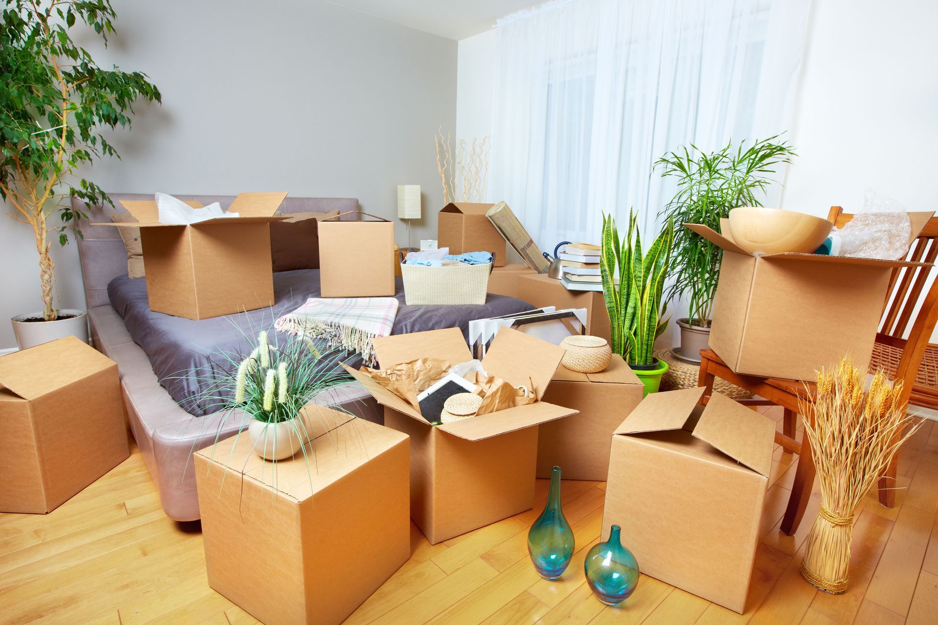 Boxes and packing paper scattered across a bright room with plants and vases, suggesting moving or unpacking