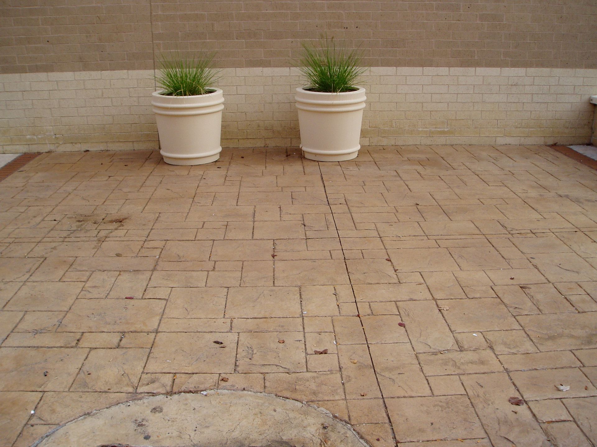 Two potted plants on a textured, patterned concrete surface against a brick wall.