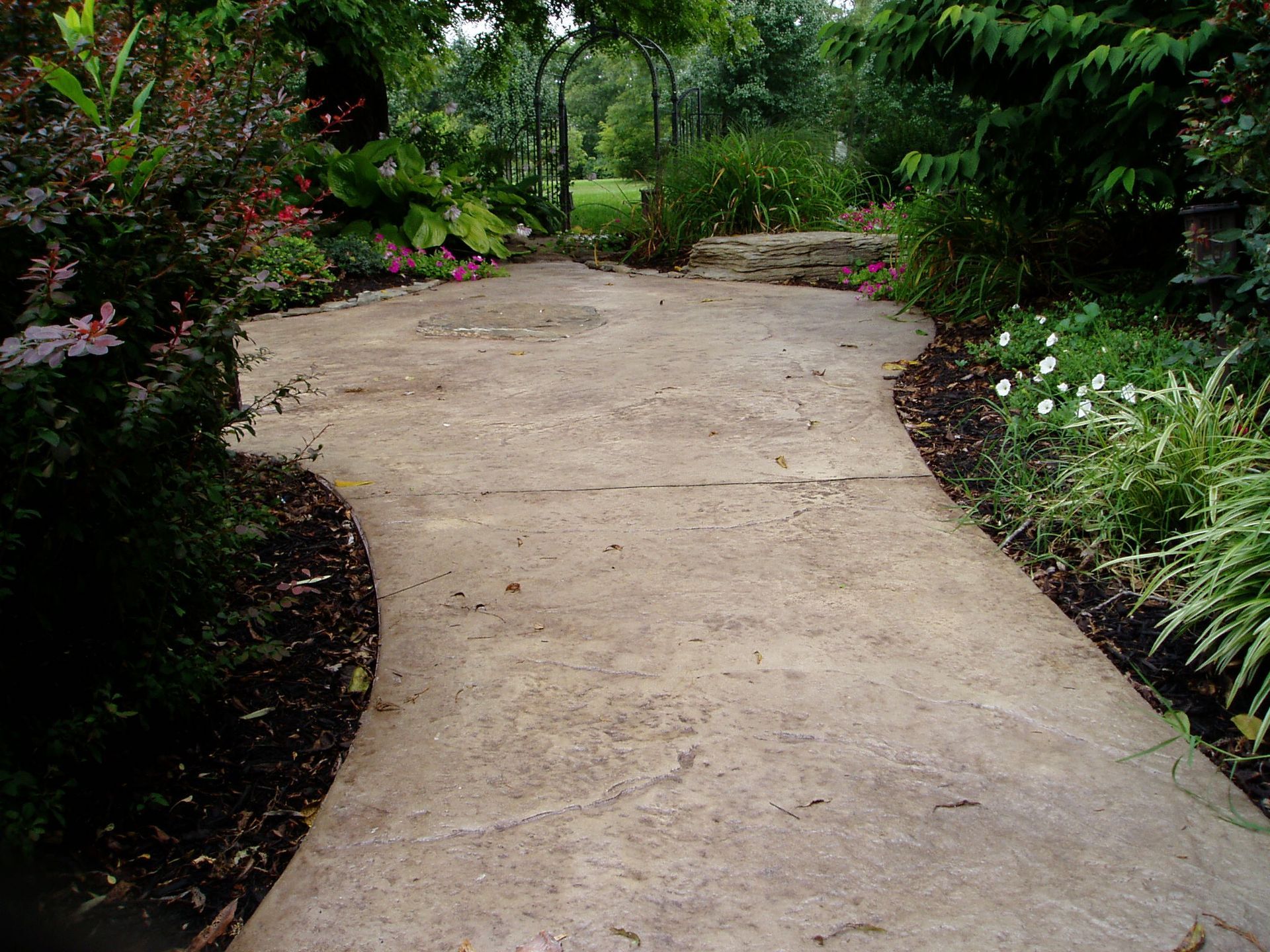 Curving concrete path in a garden, edged with dark mulch and various green plants, leading to a green arched structure.