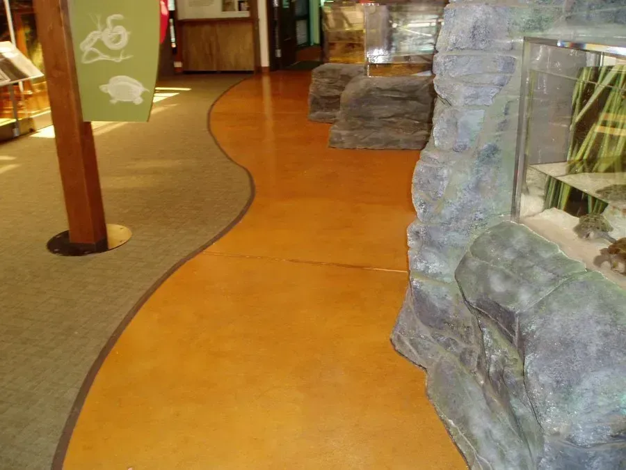 A museum interior with a wavy, orange-colored pathway. Grey rocks and display cases border the path.