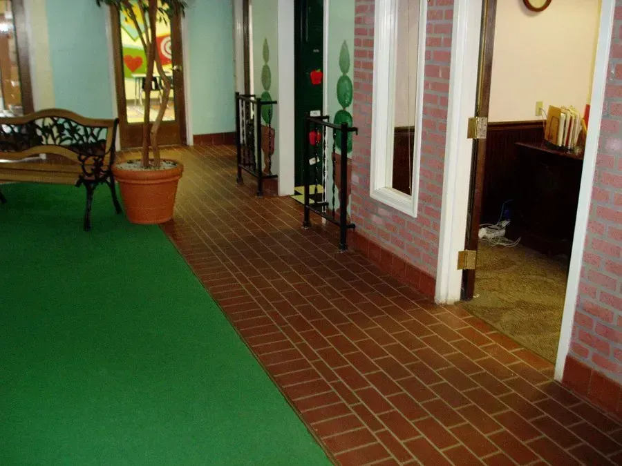 Hallway with green carpet, brick floor, potted tree, and open doorways.