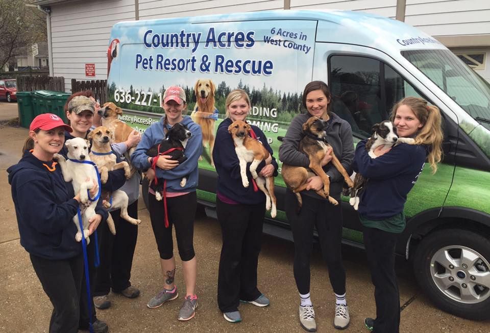 A group of people holding dogs in front of a van that says country acres pet resort & rescue