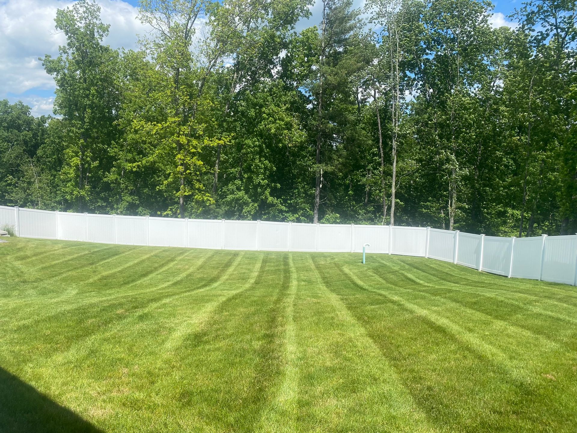A grassy backyard with neat lawnmower stripes, enclosed by a white vinyl fence in front of a line of green trees.