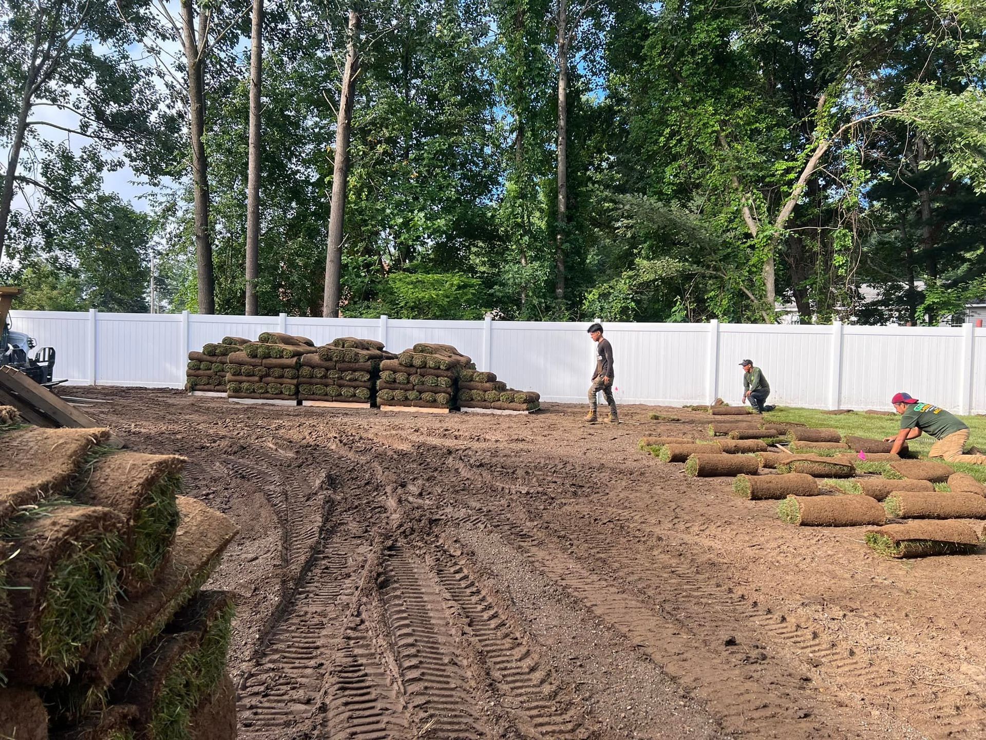 Three workers installing sod rolls on a muddy residential lawn in front of a white privacy fence.