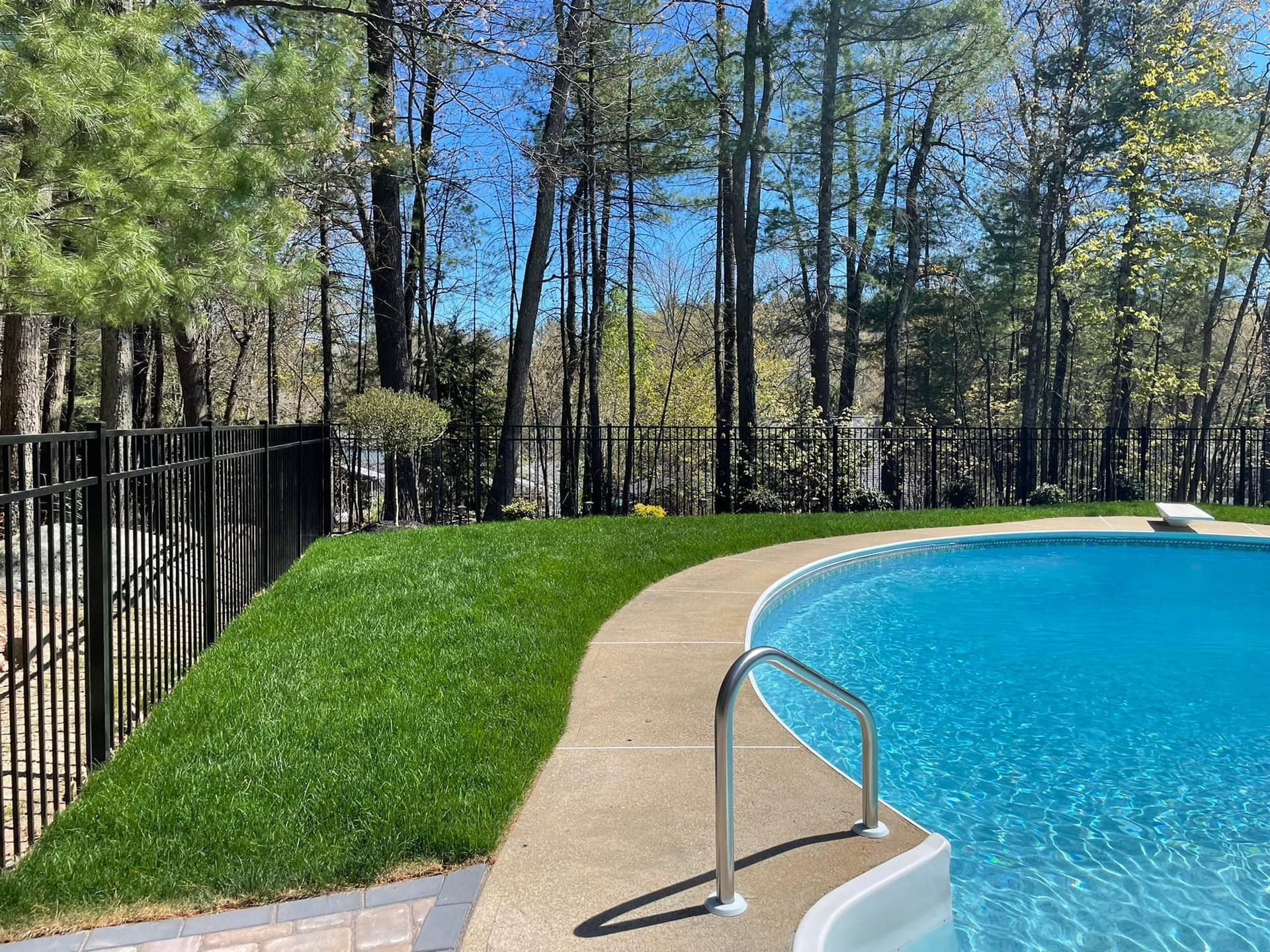 A bright blue swimming pool sits next to a lush green lawn, bordered by a black metal fence and a backdrop of tall trees.