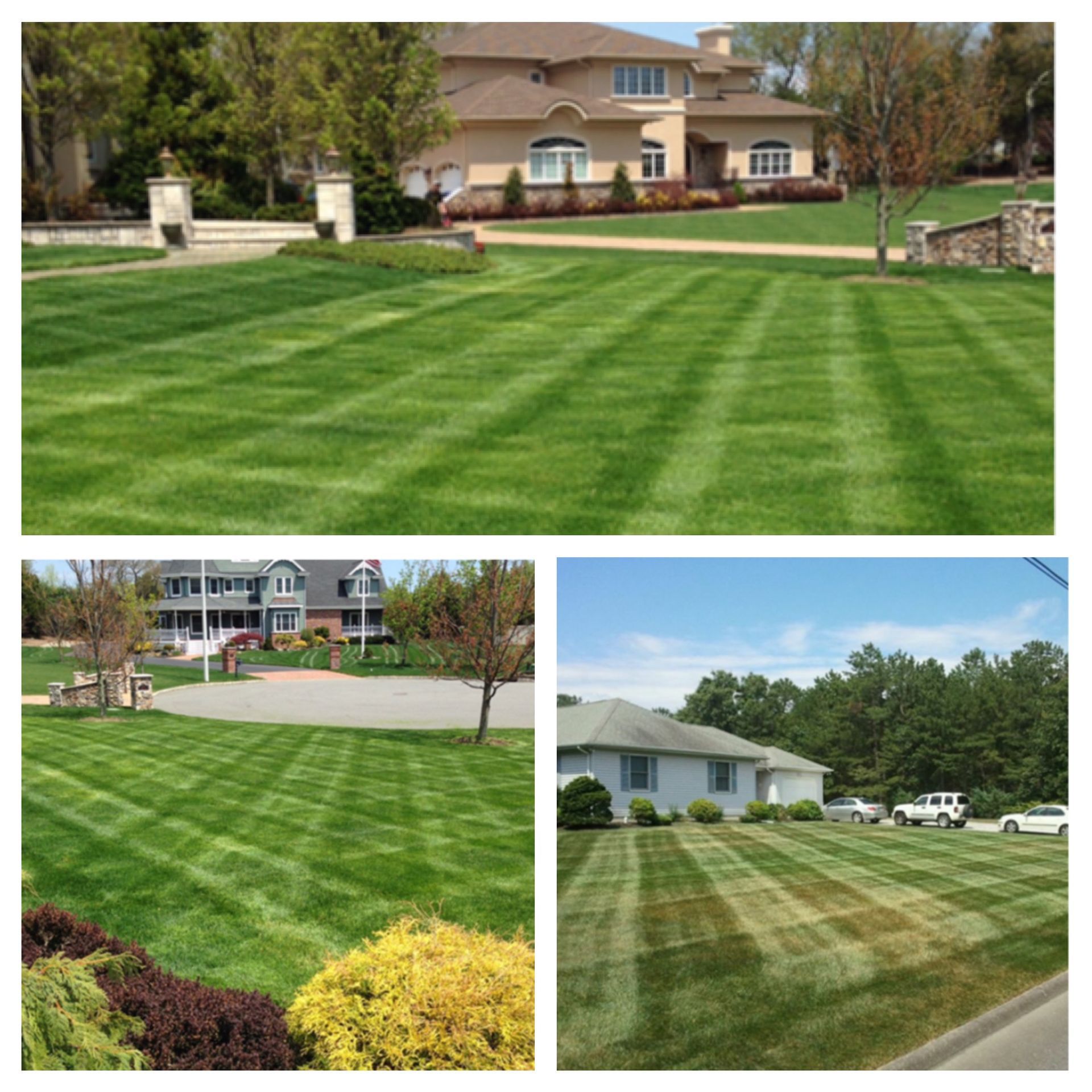 Lawn service