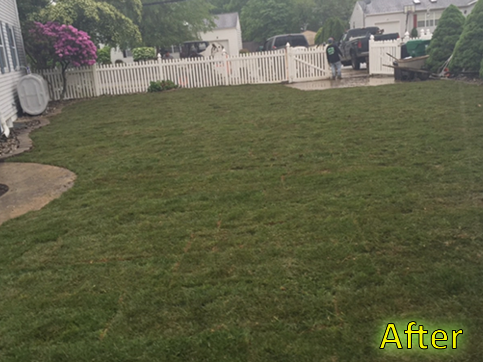 Landscape Services