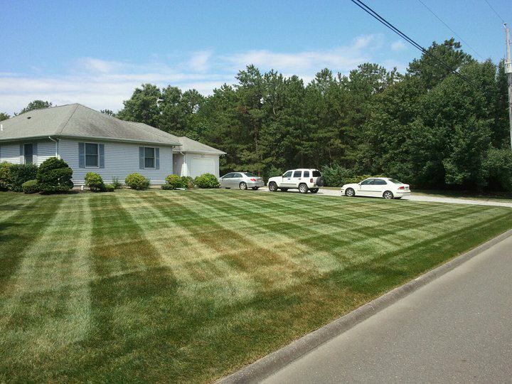 Lawn service