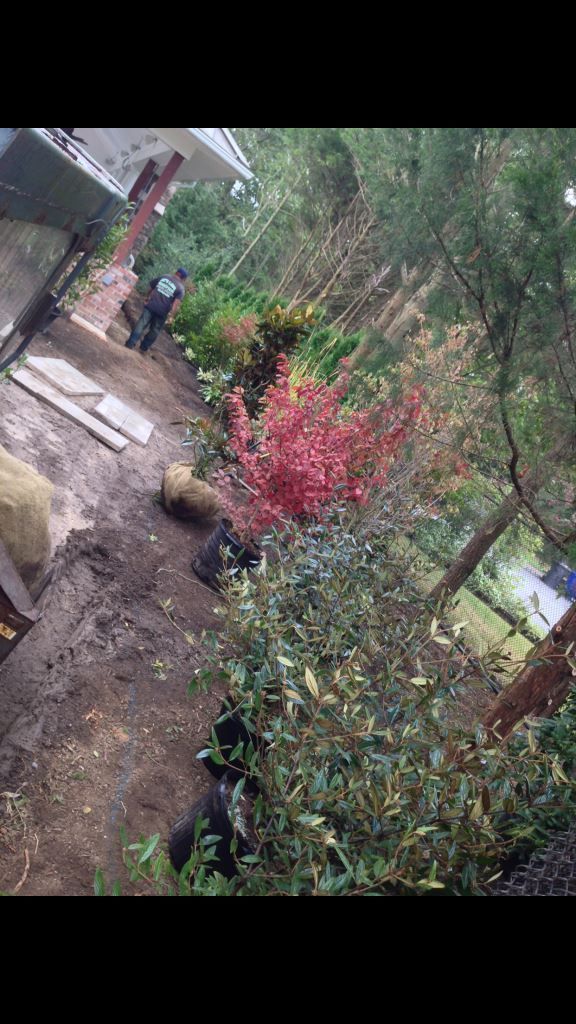 Landscape Services