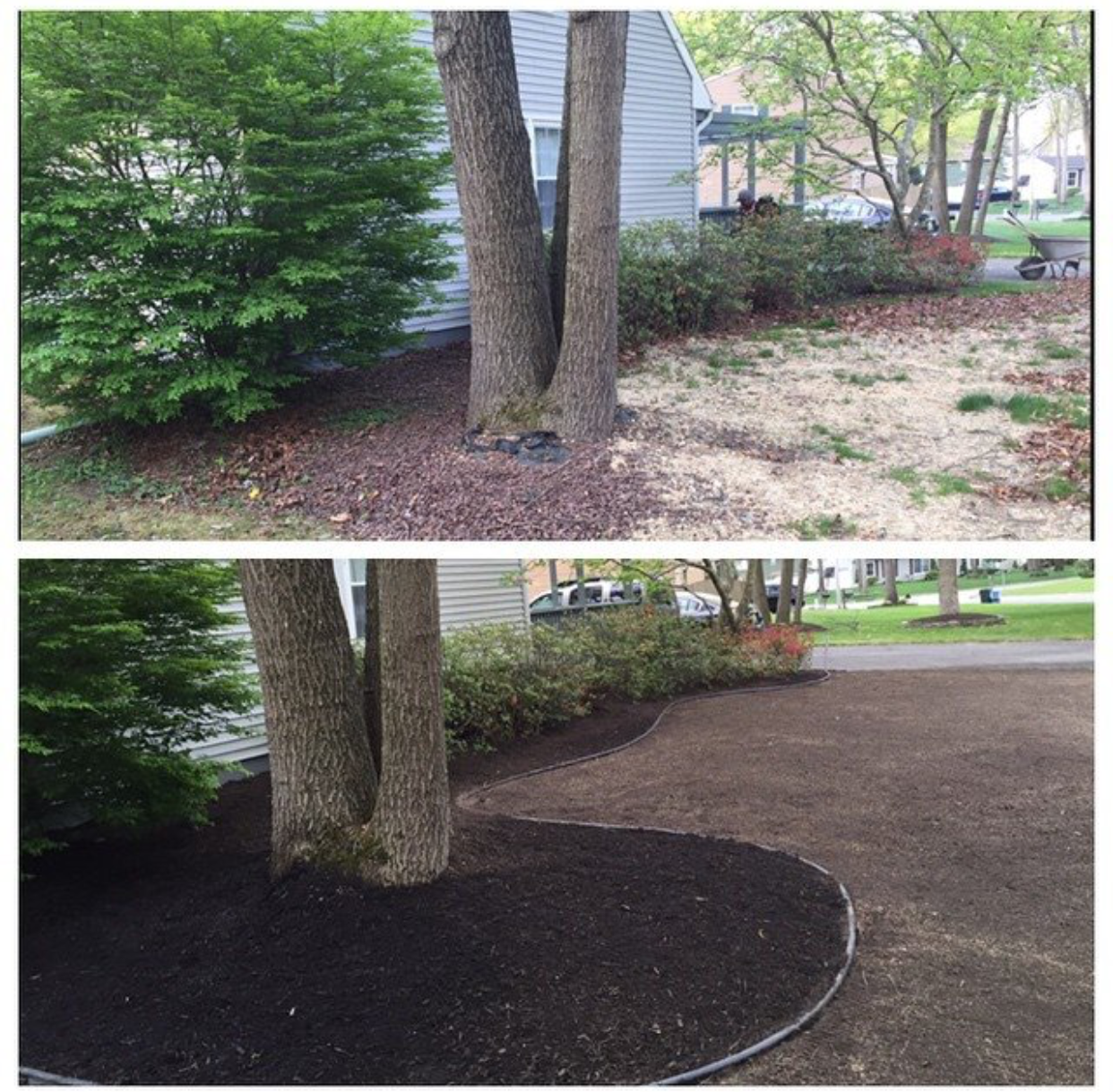 Landscape Services