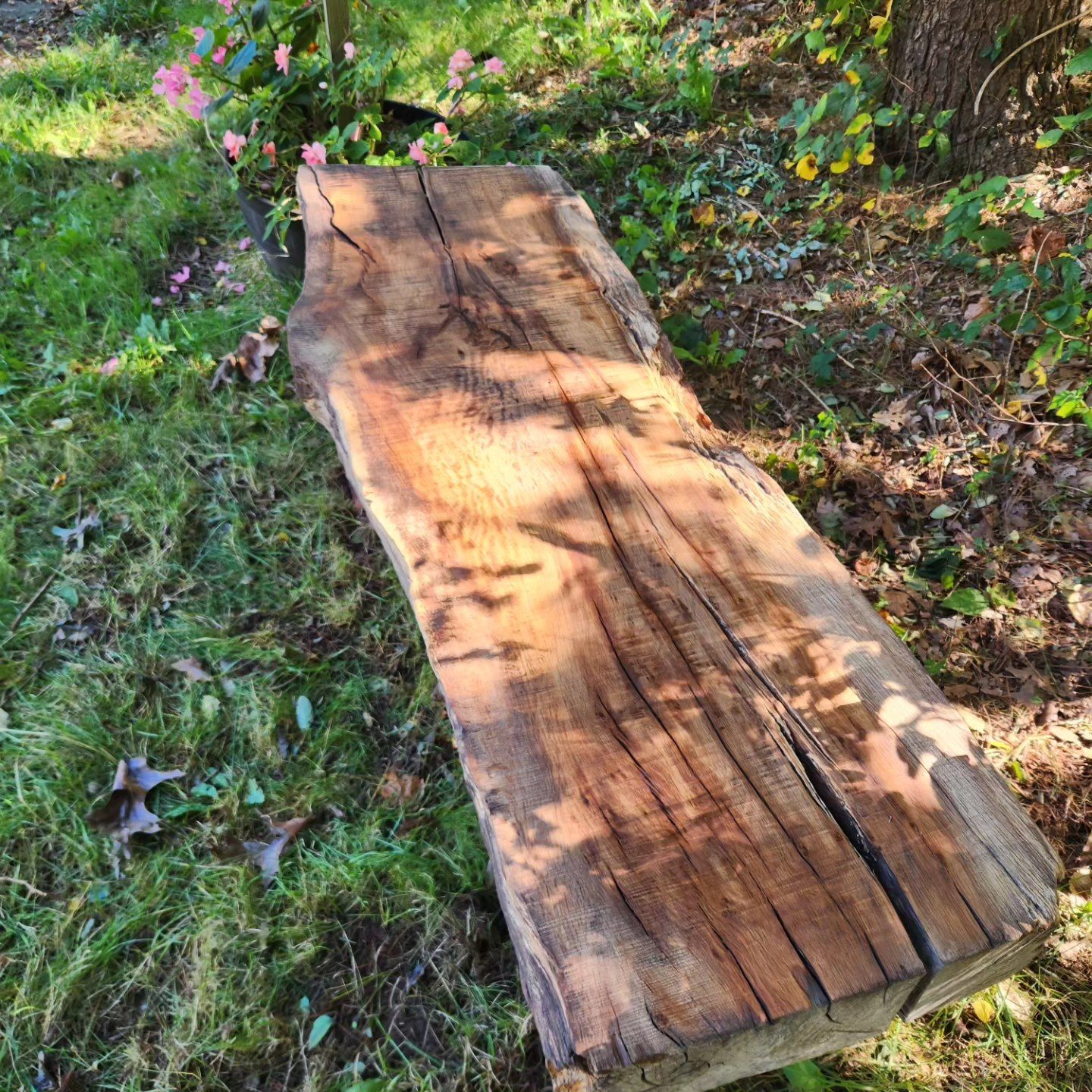A wooden bench is sitting in the grass next to a tree.