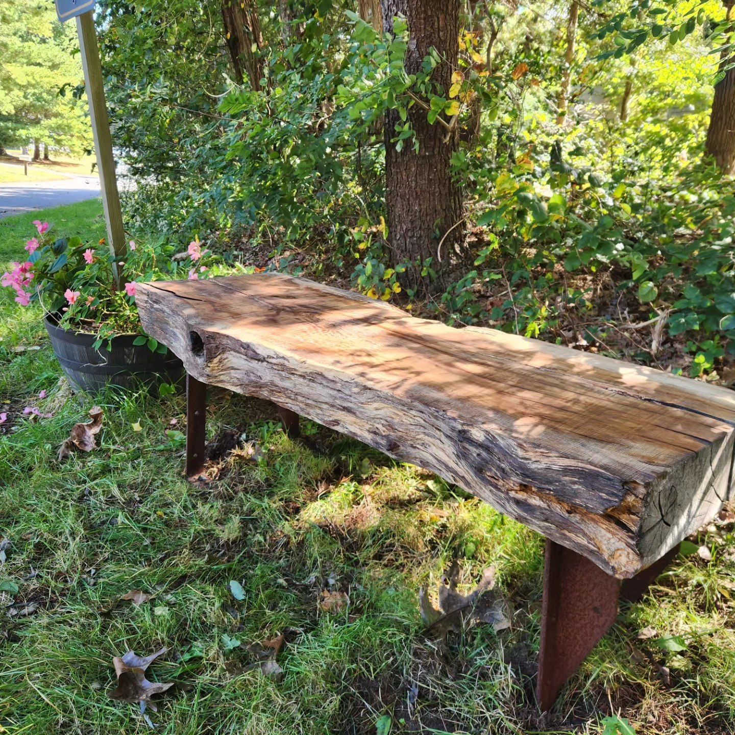 A wooden bench is sitting in the grass next to a tree.
