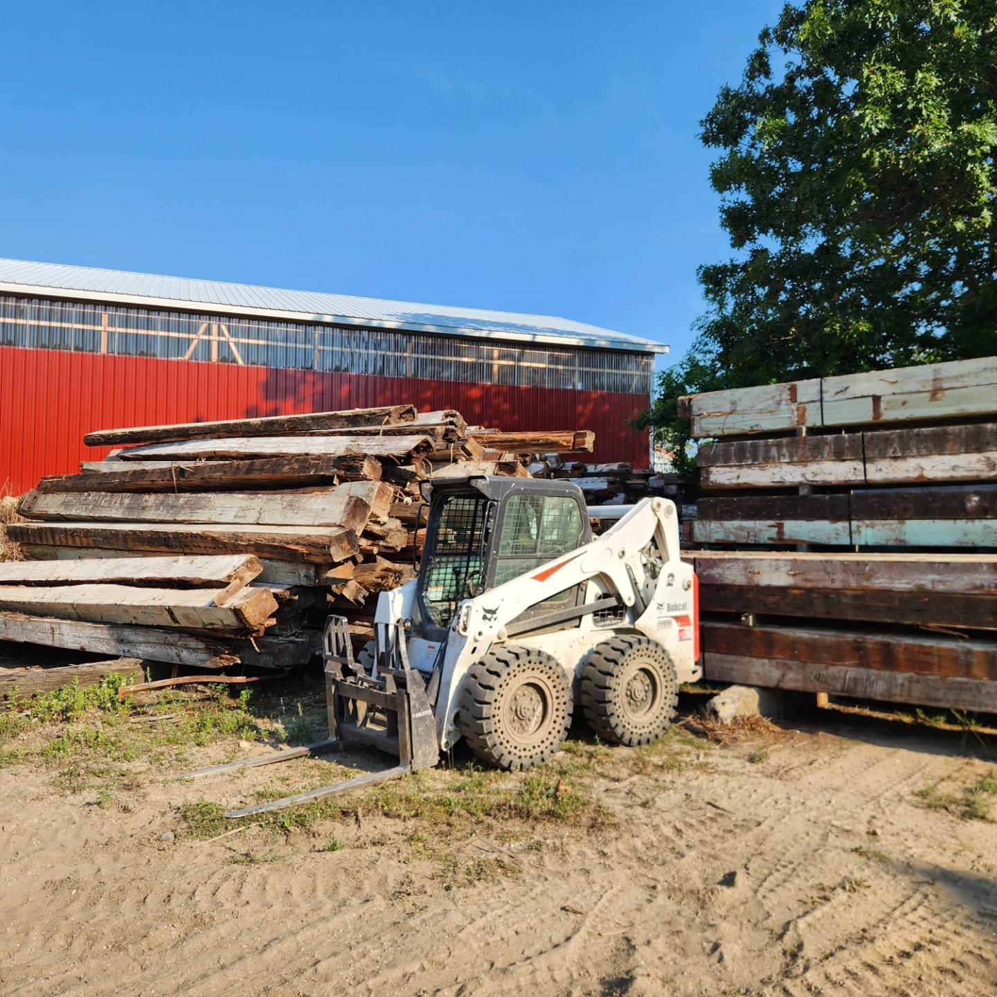 A bobcat is parked in front of a pile of logs
