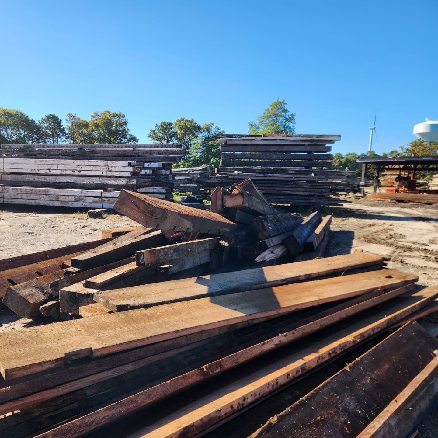 A pile of wood sits on the ground in a yard
