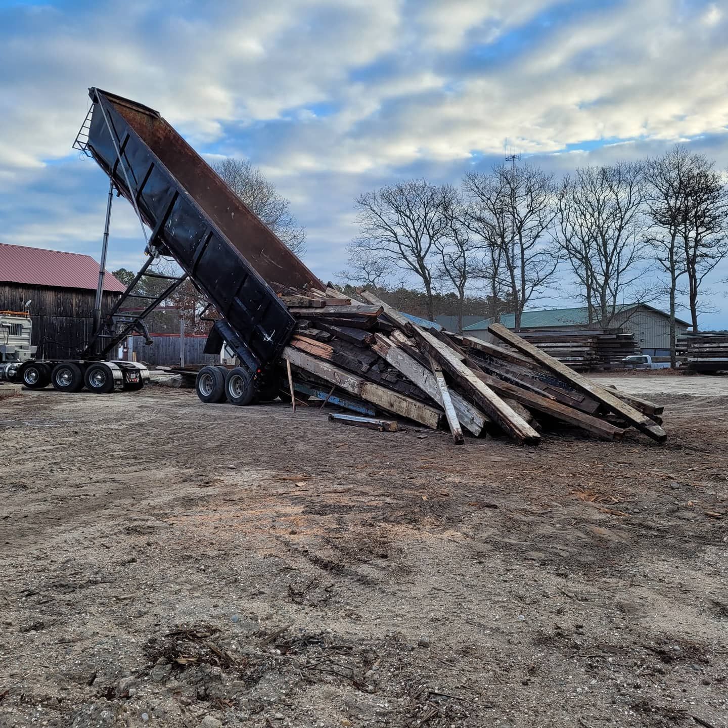 A dump truck is dumping a pile of wood in a dirt field.
