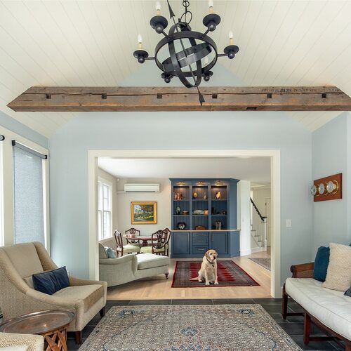 A living room with furniture and a dog standing on a rug