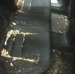 Before seat cleaning