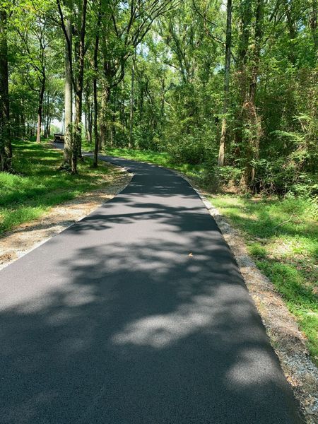 Paved path winding through a sunny forest, lined by trees and green grass.