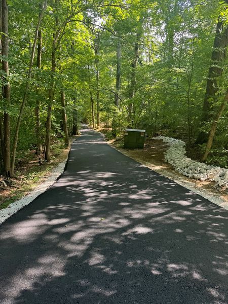 Paved path winding through a sunlit forest, flanked by trees and a rock border.