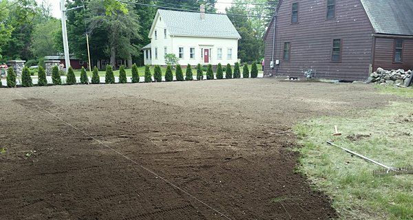 Lawn installation