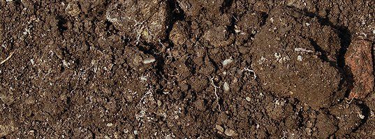 Ground soil
