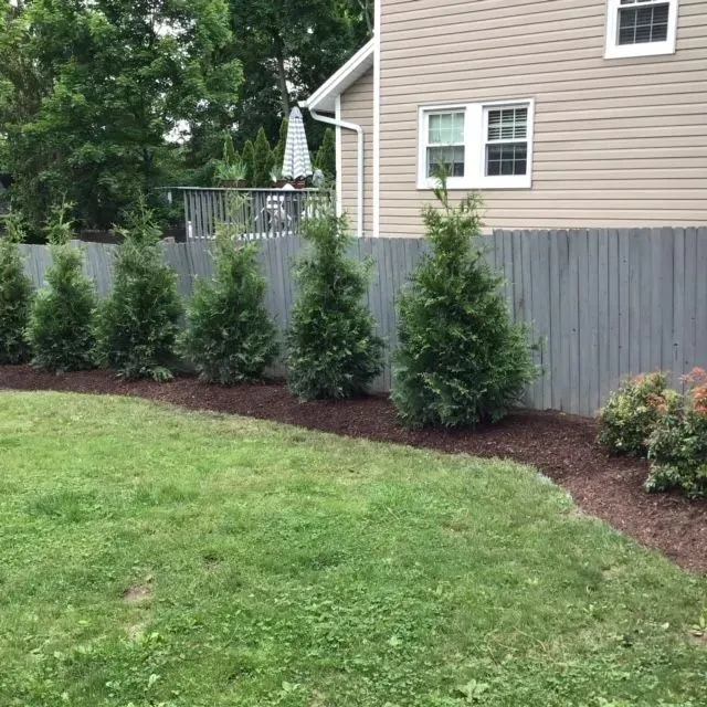 A fence surrounds a lush green yard in front of a house.