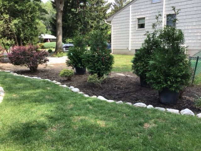 A lawn with a house in the background and potted plants in the foreground.
