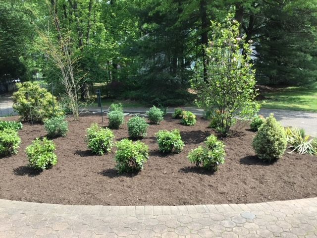 A circular garden with lots of plants and trees in it.