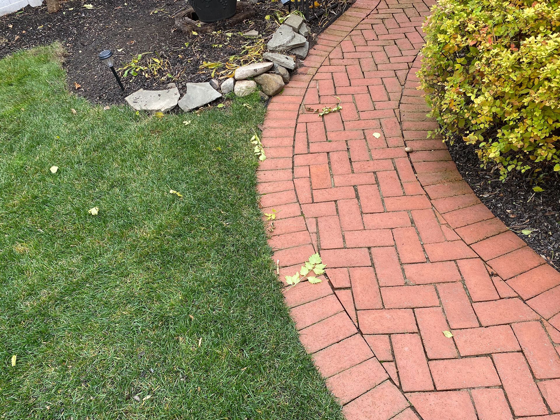 Brick pathway curves through a green lawn and garden with yellow bush.
