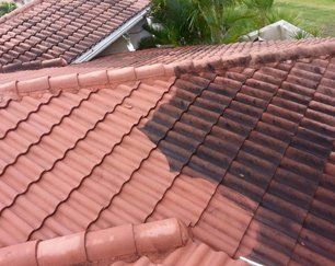 Roof Cleaning Near Me New Palestine IN