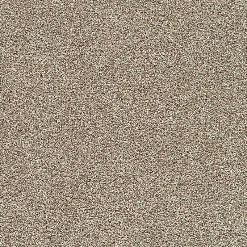 A close up of a beige carpet texture.