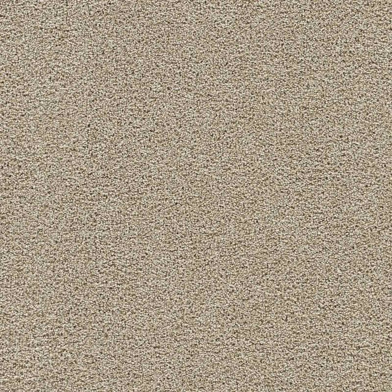 A close up of a beige carpet texture.