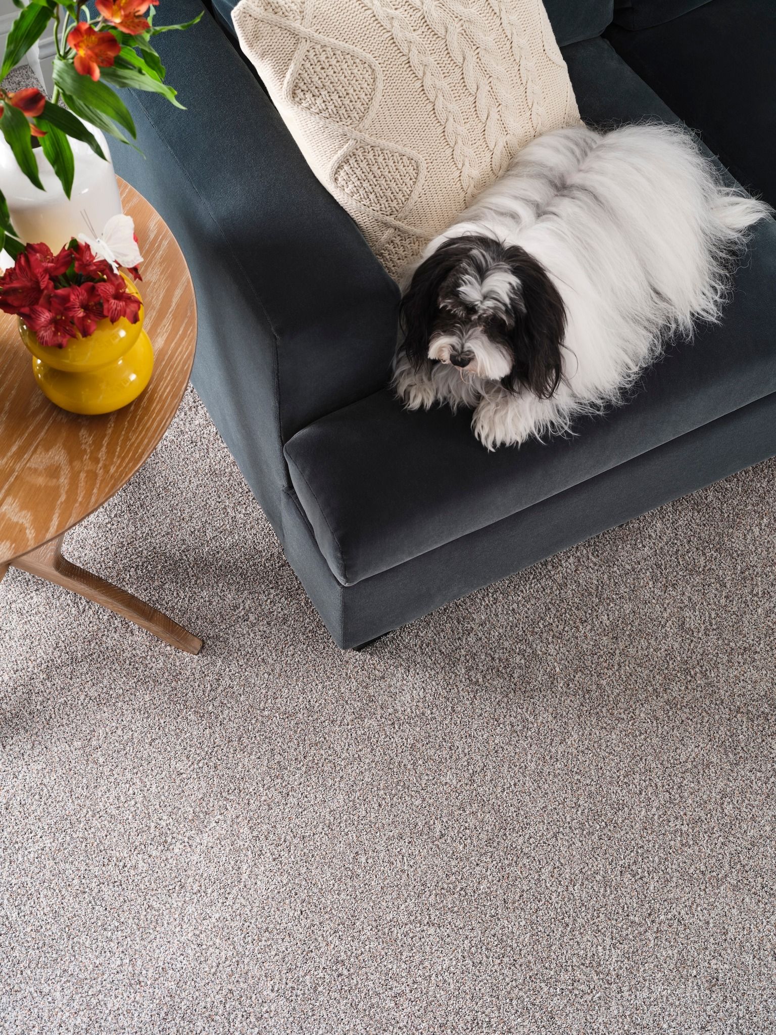 A small dog is laying on a couch in a living room.