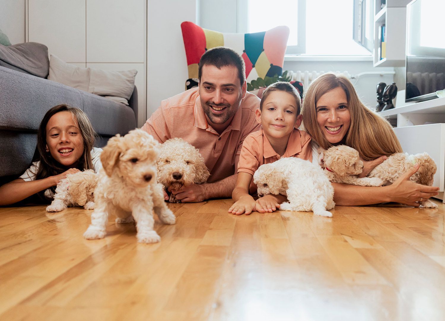 A family is laying on the floor with their puppies.