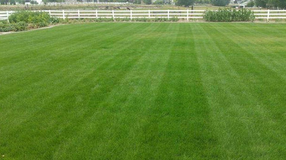 A Greener Season Landscaping Landscaping Twin Falls ID