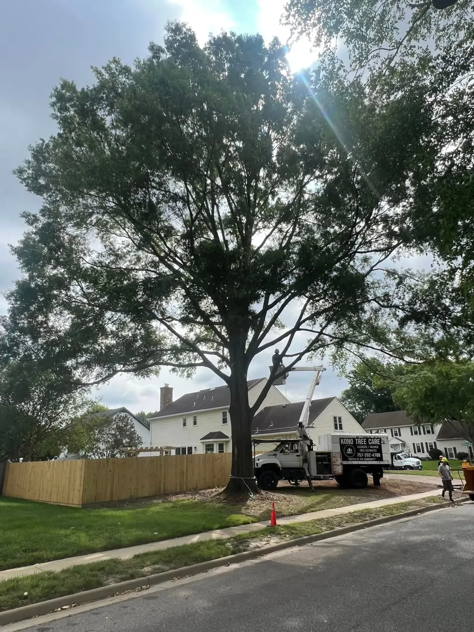 Large tree by a fenced suburban lot with a utility truck and cones on the street.