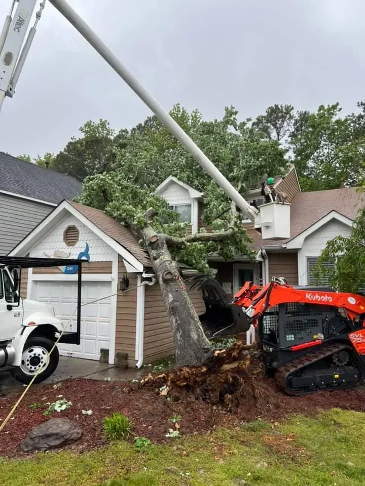 Excavator removing uprooted tree beside a garage after storm damage
