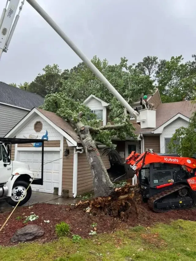 Tree crushed onto garage after storm, with utility crew and small excavator clearing debris