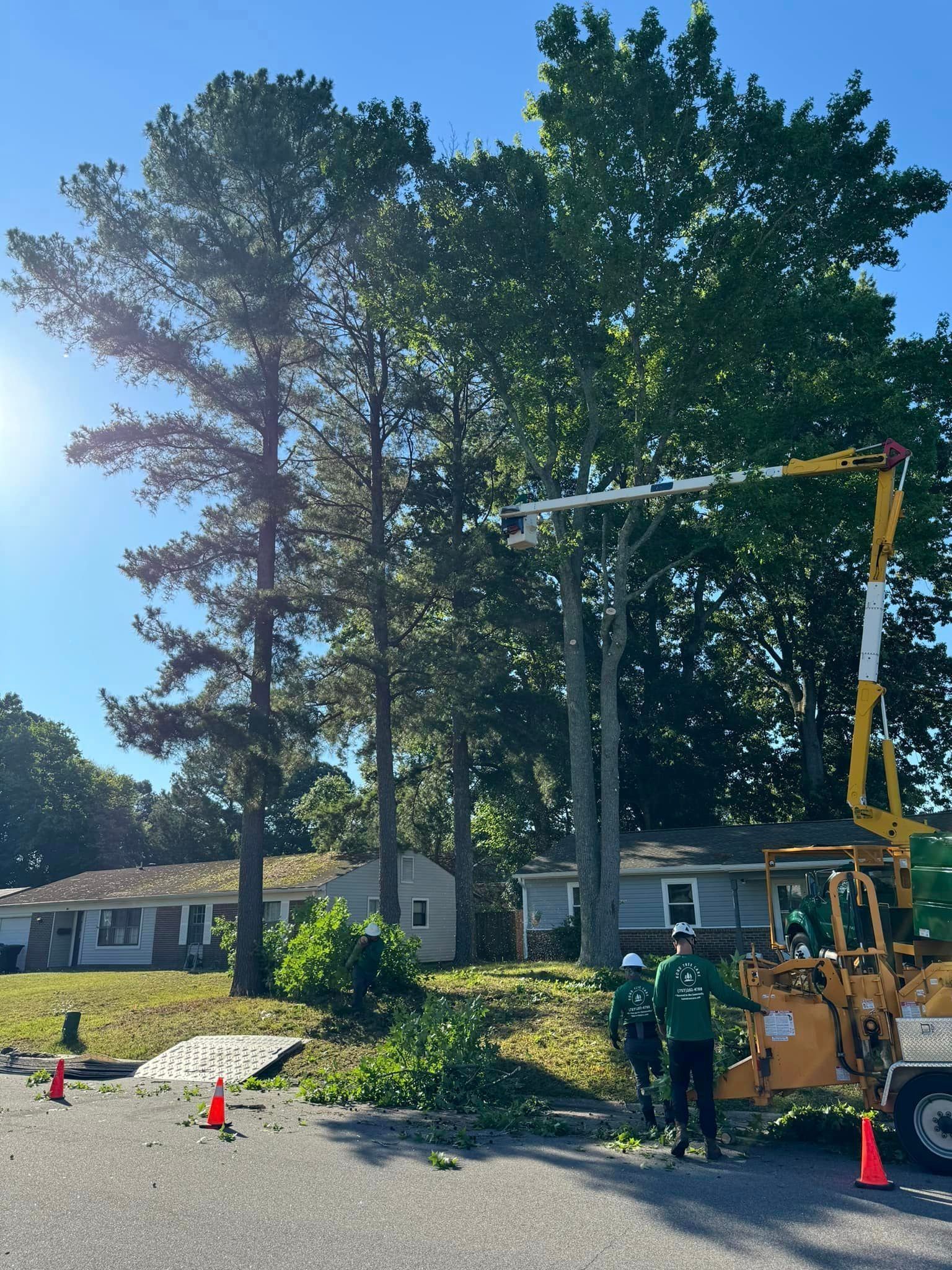 Workers in green vests trim a large tree beside a house, with a yellow lift and traffic cones nearby.