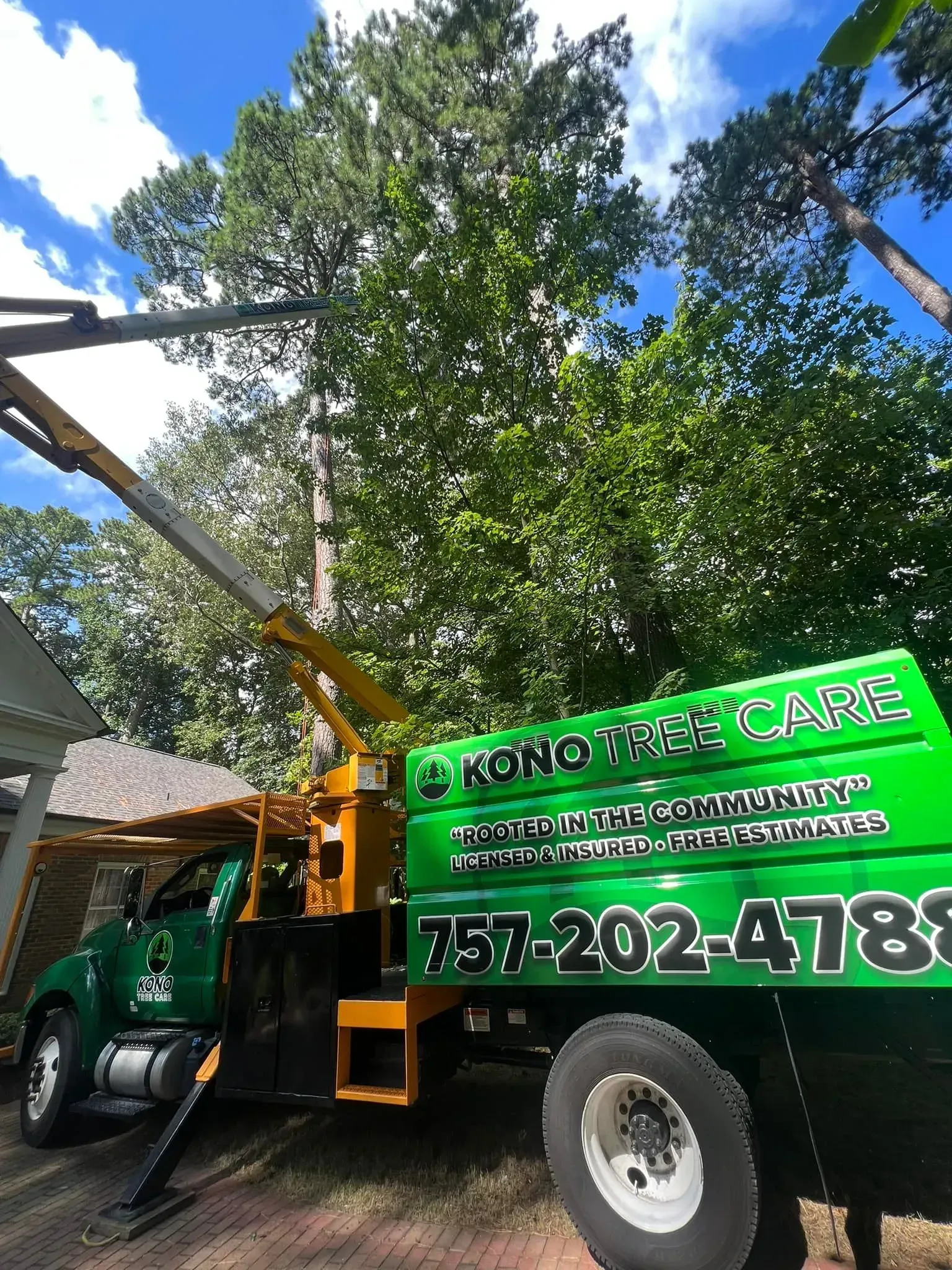 Green tree care truck with a boom lift parked under large trees on a sunny day
