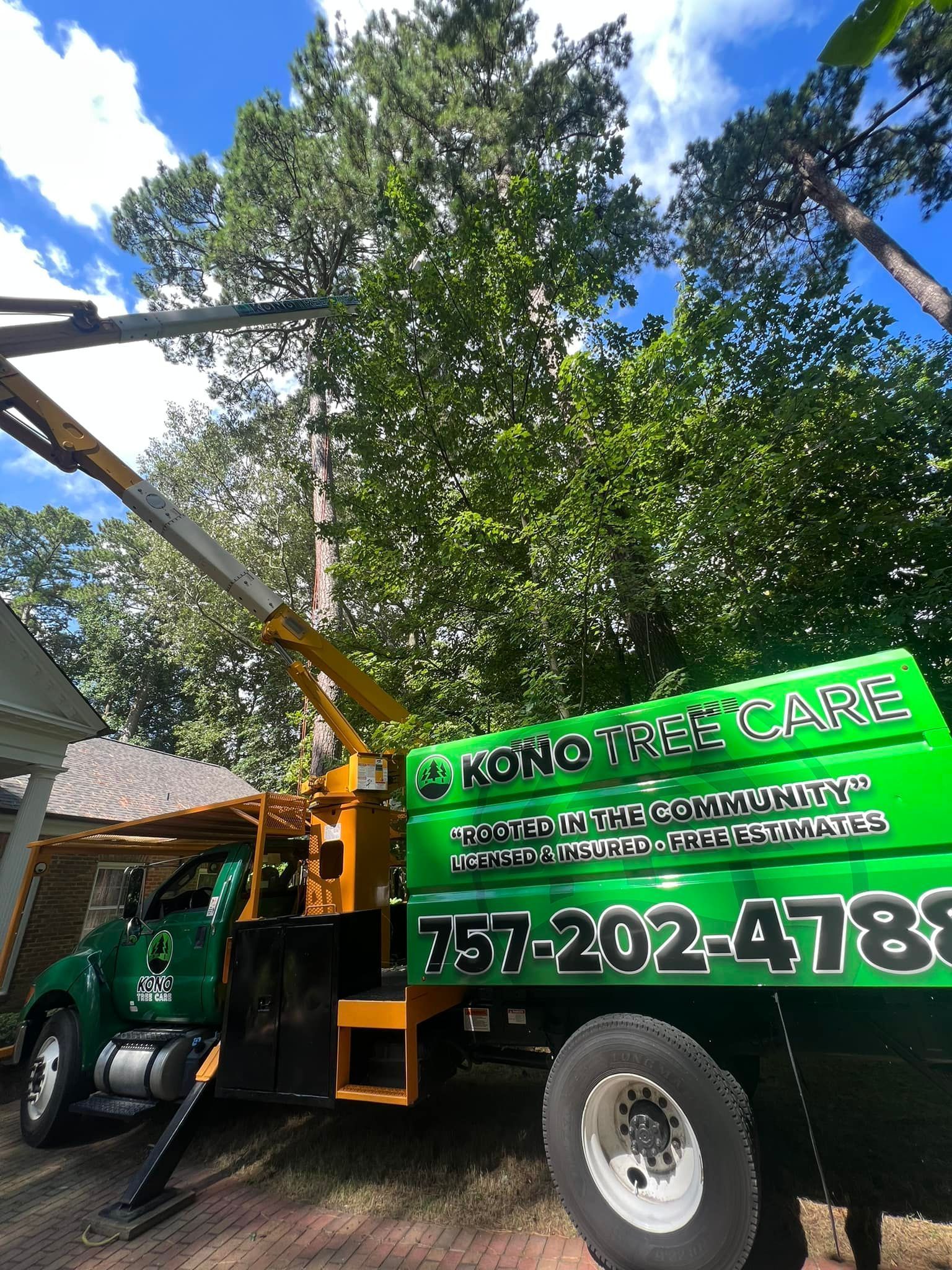 Kono Tree Care